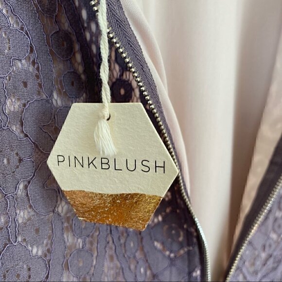 Pinkblush lace midi  dress with crew neck and v-back - Picture 9 of 11